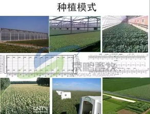 京鵬環(huán)宇畜牧薛志友 打造休閑觀光生態(tài)牧場(chǎng)，從“養(yǎng)好牛”到“享生活”的質(zhì)變之路